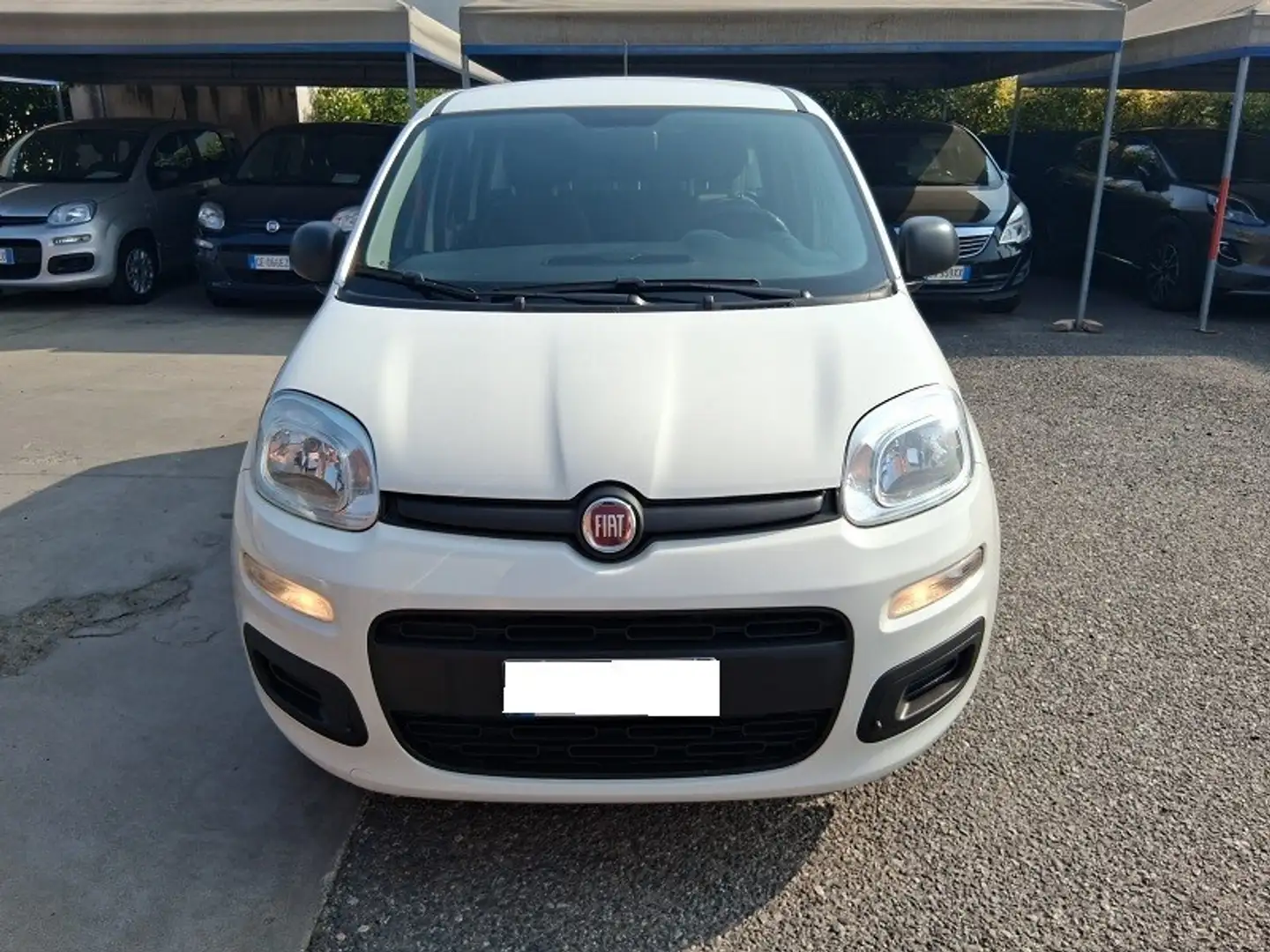 Fiat Panda 1.0 FireFly S&S Hybrid Wit - 2
