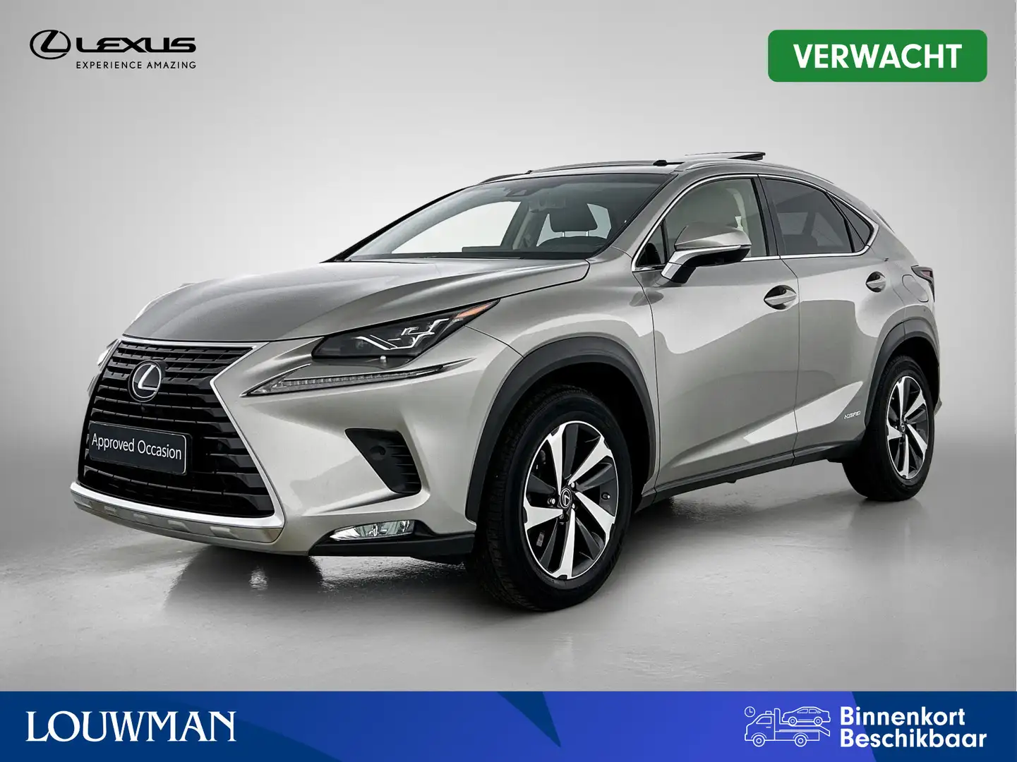 Lexus NX 300h AWD President Line | Premium uitgevoerd | Schuifda Gris - 1