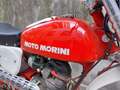 Moto Morini Corsarino Verlicchi Rood - thumbnail 6