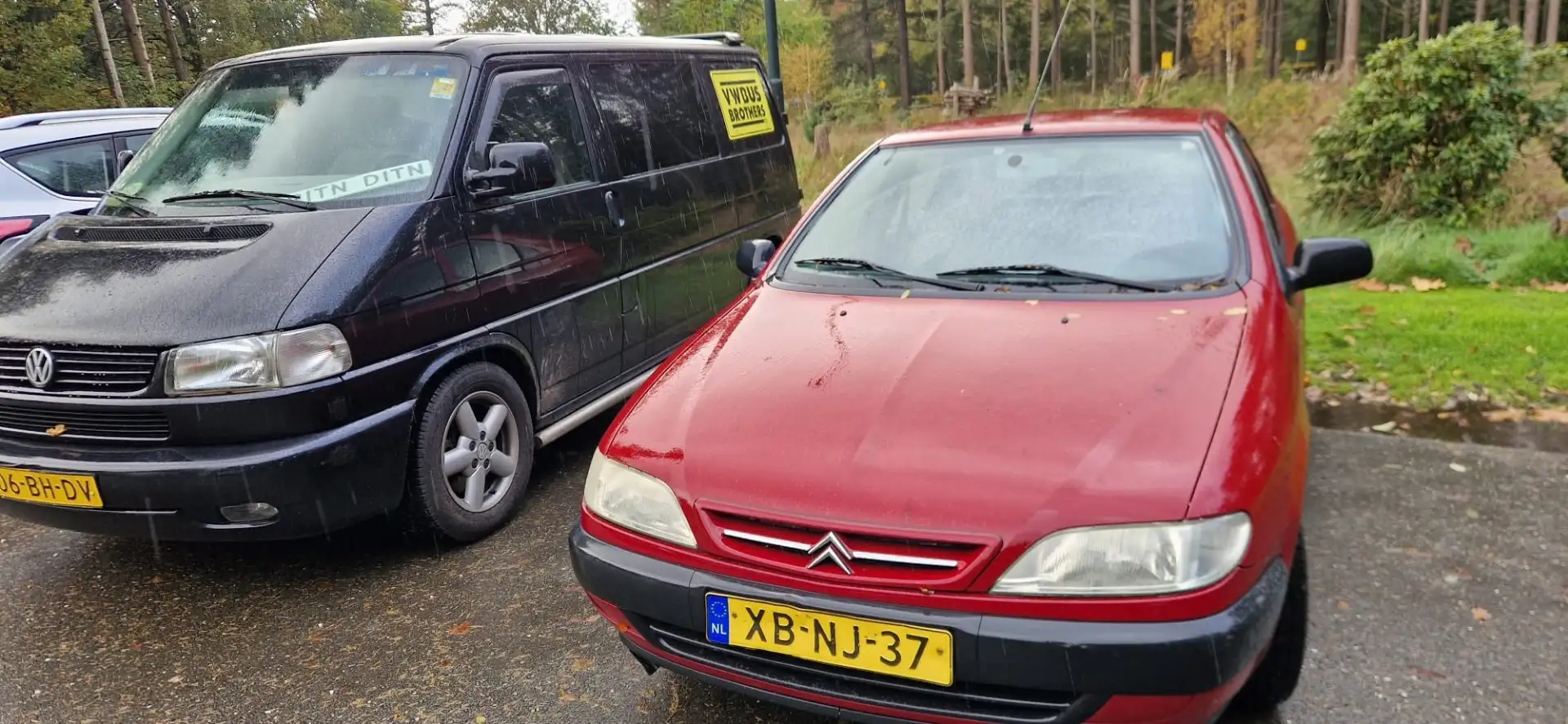 Citroen Xsara 1.6i Rojo - 2