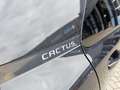 Citroen C4 Cactus 1.2 PureTech Feel | Achteruitrijcamera | Armsteun Zwart - thumbnail 34