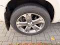 Toyota RAV 4 4 Executive*Leder*Standheizung*EURO5*AHK*ALU* Weiß - thumbnail 12