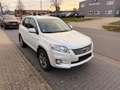 Toyota RAV 4 4 Executive*Leder*Standheizung*EURO5*AHK*ALU* Weiß - thumbnail 3