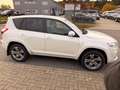 Toyota RAV 4 4 Executive*Leder*Standheizung*EURO5*AHK*ALU* Weiß - thumbnail 5