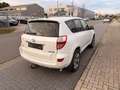 Toyota RAV 4 4 Executive*Leder*Standheizung*EURO5*AHK*ALU* Weiß - thumbnail 8