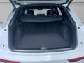 Audi Q5 40 TDI quattro S tronic S line Navi Digitales Cock Blanco - thumbnail 15