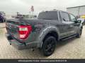 Ford Sonstige Pack Raptor V8 Tout compris hors homologation 4500e Grau - thumbnail 26