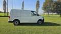 Volkswagen Transporter T6 - thumbnail 7