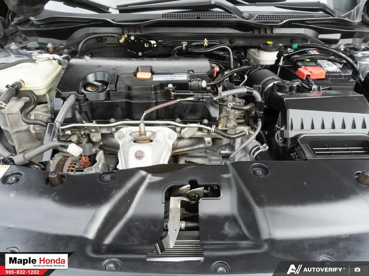 Honda Civic fotografie Honda Civic