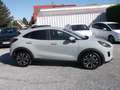 Ford Puma Titanium MHEV Hybrid Navi, Kamera rundum, Fernlich Grau - thumbnail 6