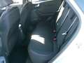 Ford Puma Titanium MHEV Hybrid Navi, Kamera rundum, Fernlich Grau - thumbnail 13