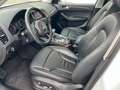 Audi Q5 2.0 TDI  quattro Bi-Xenon Panorama AHK Leder Bianco - thumbnail 5