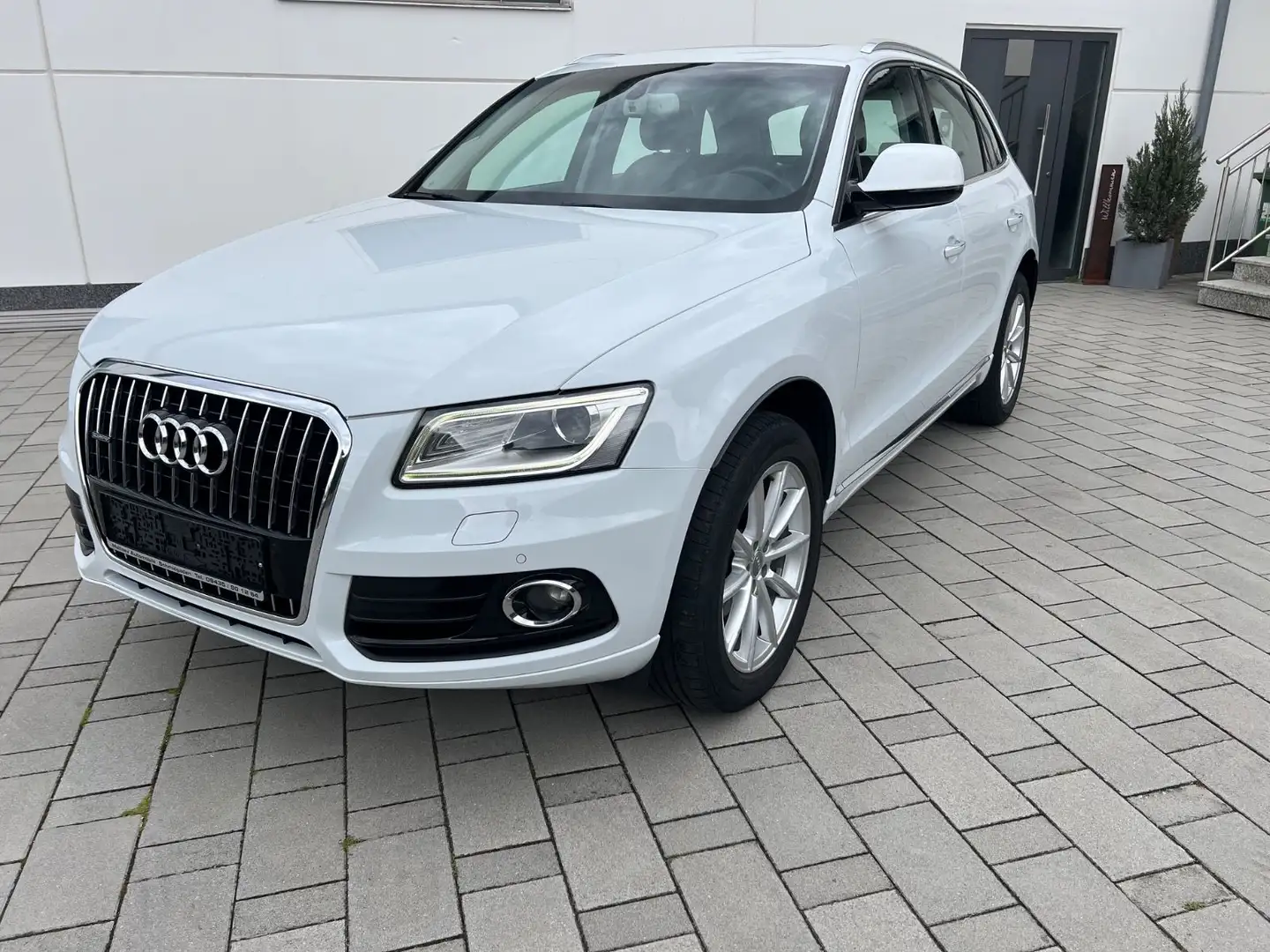 Audi Q5 2.0 TDI  quattro Bi-Xenon Panorama AHK Leder Bianco - 1
