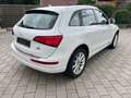 Audi Q5 2.0 TDI  quattro Bi-Xenon Panorama AHK Leder Bianco - thumbnail 3