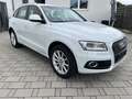Audi Q5 2.0 TDI  quattro Bi-Xenon Panorama AHK Leder Bianco - thumbnail 2