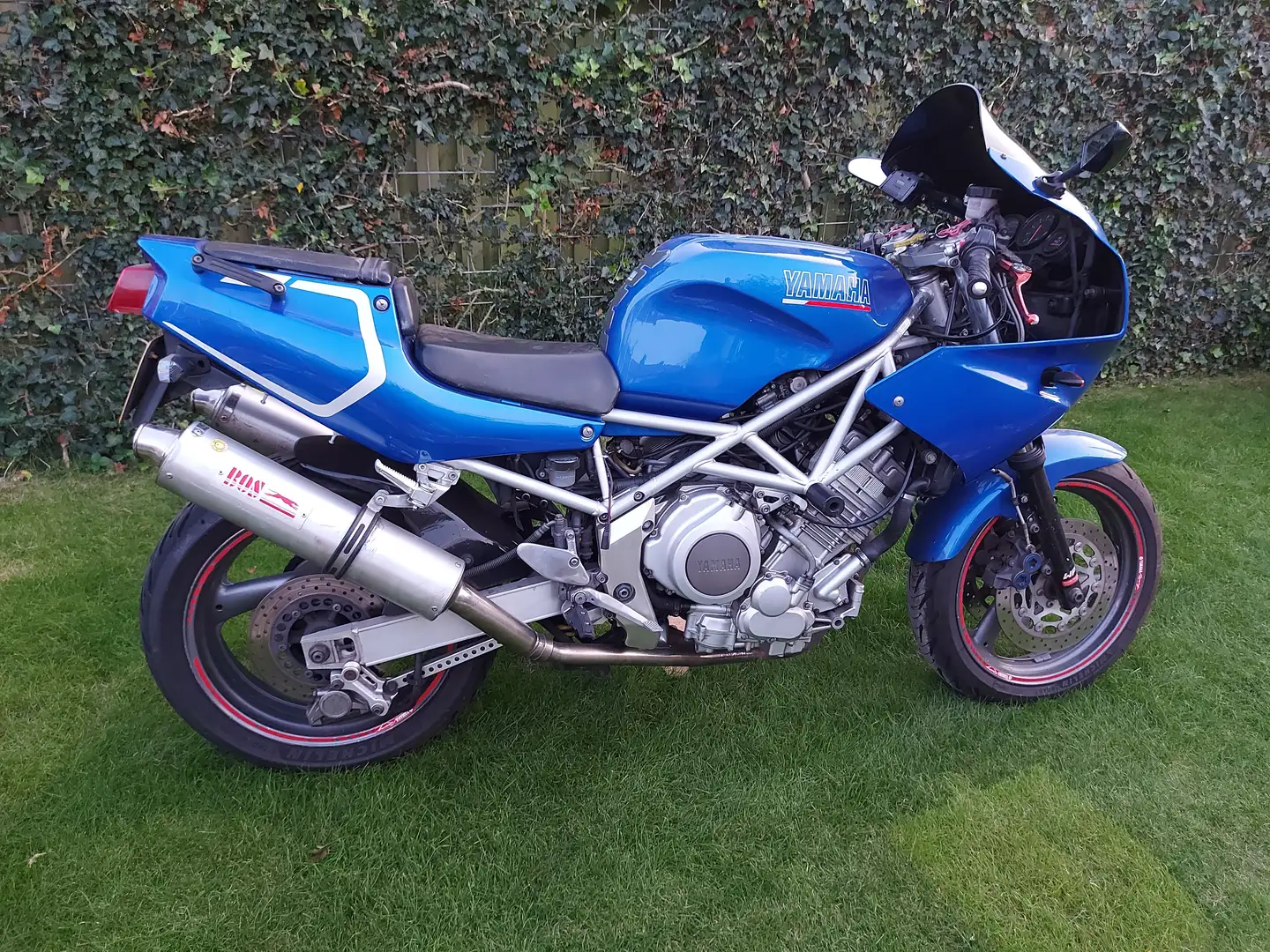 Yamaha TRX 850 Albastru - 2