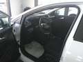 Ford Puma 1.0 HYBRID TITANIUM  =  PROMO Bianco - thumbnail 7