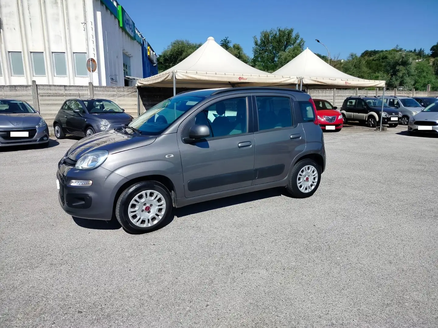 Fiat Panda Panda III 2016 1.2 Lounge s Grigio - 2