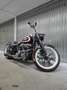 Harley-Davidson Fat Boy FLSSTF - thumbnail 1