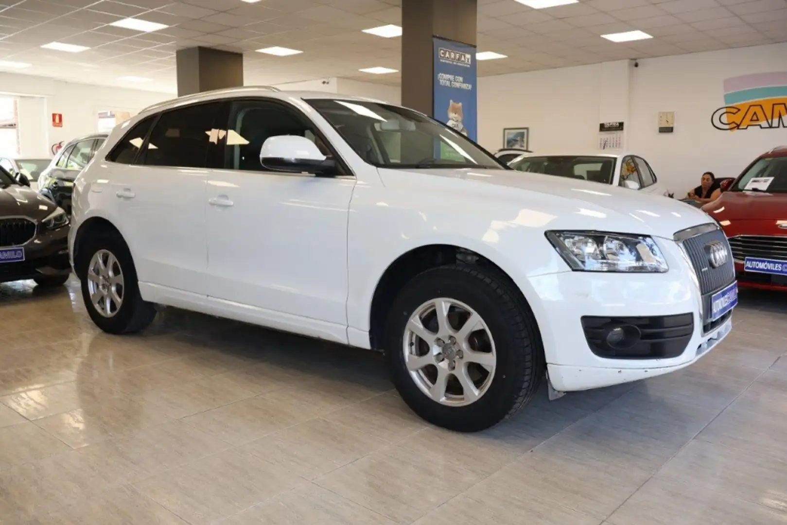Audi Q5 2.0TDI quattro Ambition 143 Blanc - 1