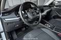 Skoda Octavia 2.0 TDI DPF Business DSG Pickerl NEU Plateado - thumbnail 12