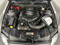 Ford Mustang 5.0 V8 Shelby 20 Zoll Gasanlage Pedders Срібний - thumbnail 6