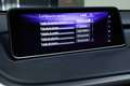 Lexus RX 450h F Sport Blanco - thumbnail 39