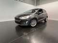 Ford Fiesta 1.0 Titanium Grijs - thumbnail 1