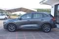 Ford Kuga 2.0 EcoBlue 120 CV Aut. ST-Line Grigio - thumbnail 4