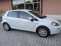 Fiat Punto Punto 5p 1.4 easypower Easy Gpl Bianco - thumbnail 1