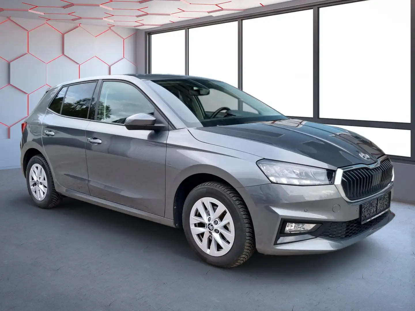 Skoda Fabia Selection TSI Grau - 2