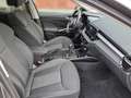 Skoda Fabia Selection TSI Grau - thumbnail 19