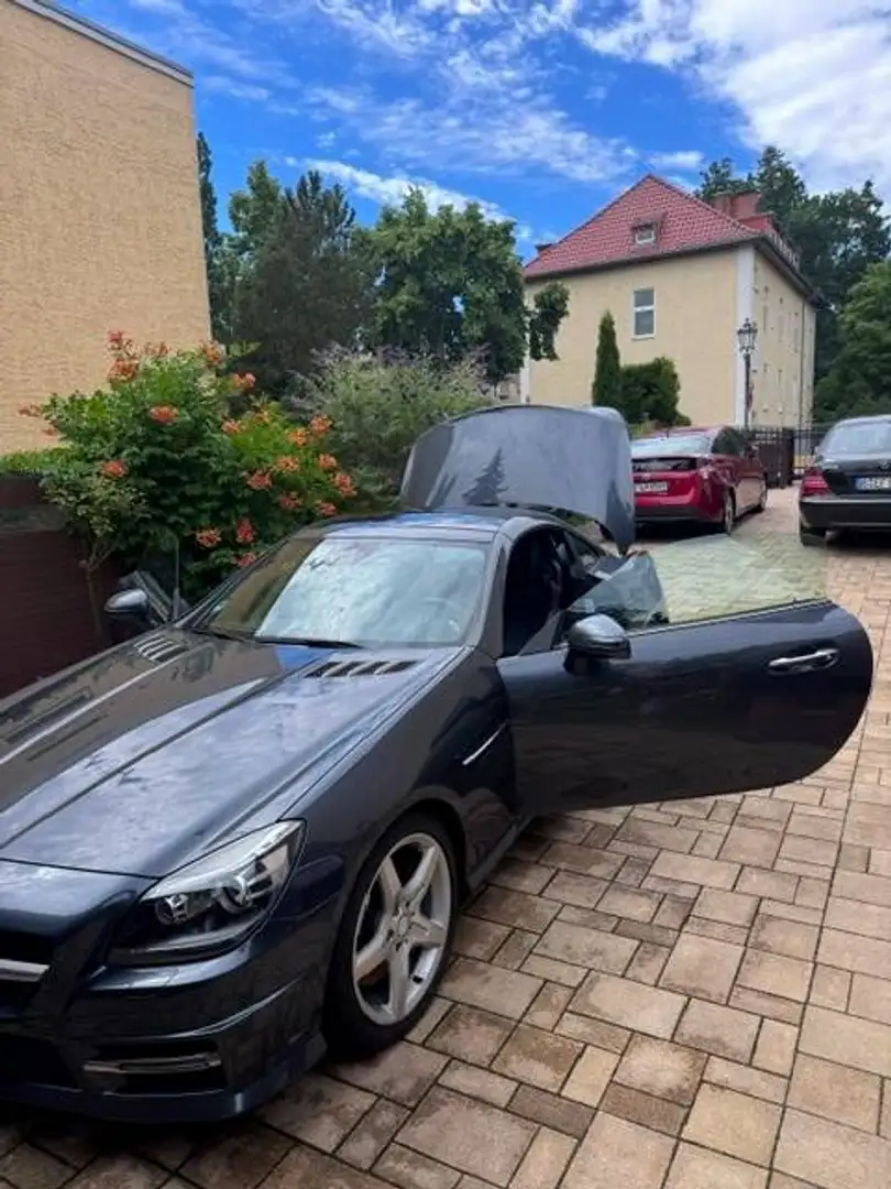 Mercedes-Benz SLK 250 SLK-Klasse Diesel CDI (BlueEFFICIENCY) Grau - 2