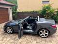 Mercedes-Benz SLK 250 SLK-Klasse Diesel CDI (BlueEFFICIENCY) Grau - thumbnail 5