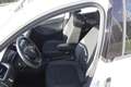 Skoda Rapid/Spaceback Rapid 1,2 Ambition Weiß - thumbnail 5