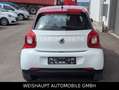 smart forFour forfour electric drive / EQ -22 kw-Aluf. Rot - thumbnail 13
