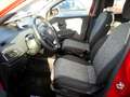 Lancia Ypsilon 1.2 Elefantino Blu ecochic Gpl 69cv my19 Rosso - thumbnail 9