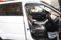 Land Rover Range Rover Evoque 2.2 SD4 *Automatik*Leder*Navi Weiß - thumbnail 18