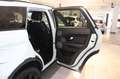 Land Rover Range Rover Evoque 2.2 SD4 *Automatik*Leder*Navi Weiß - thumbnail 16