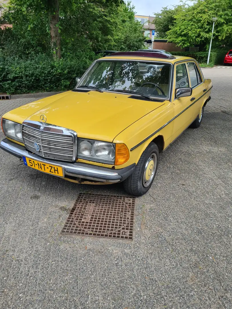Mercedes-Benz 250 benzine /lpg Giallo - 1