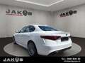 Alfa Romeo Giulia Super +LED+Navi+BTH+Bi-Xenon 132 kW (1... Wit - thumbnail 5