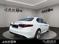 Alfa Romeo Giulia Super +LED+Navi+BTH+Bi-Xenon 132 kW (1... Wit - thumbnail 7