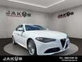 Alfa Romeo Giulia Super +LED+Navi+BTH+Bi-Xenon 132 kW (1... Wit - thumbnail 2