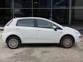 Fiat Punto Evo 1.4 natural power Emotion 70cv Bianco - thumbnail 7