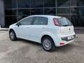 Fiat Punto Evo 1.4 natural power Emotion 70cv Bianco - thumbnail 8