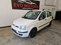 Fiat Panda 1.2 Dynamic Bianco - thumbnail 1