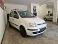 Fiat Panda 1.2 Dynamic Bianco - thumbnail 11