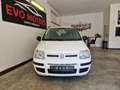 Fiat Panda 1.2 Dynamic Bianco - thumbnail 3