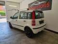 Fiat Panda 1.2 Dynamic Bianco - thumbnail 9