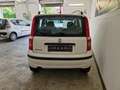 Fiat Panda 1.2 Dynamic Bianco - thumbnail 6